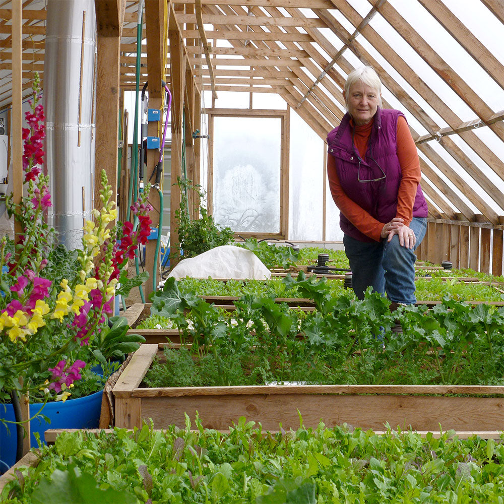 How Vejibag Was Born: Sally’s Story and a Better Way to Store Produce